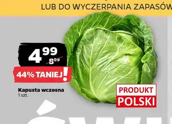Netto Kapusta wczesna oferta
