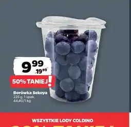 Netto Borówka Sekoya oferta