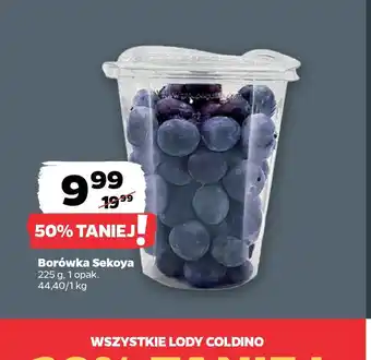 Netto Borówka Sekoya oferta