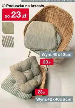 Woolworth Poduszka na krzesło oferta