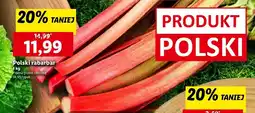 Lidl Rabarbar Polski oferta