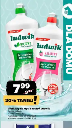 Netto Płyn do mycia naczyń Ludwik oferta