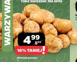 Netto Ziemniak wczesny oferta