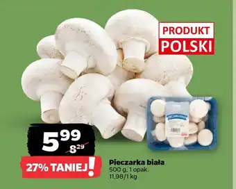 Netto Pieczarka biała oferta