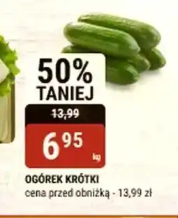 bi1 Ogórek oferta