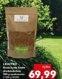 Kaufland Koniczyna biała drobnolistna W. Legutko oferta