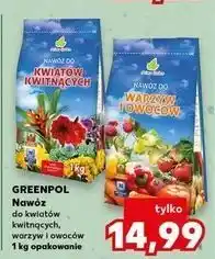 Kaufland Nawóz do warzyw i owoców Green Pol oferta