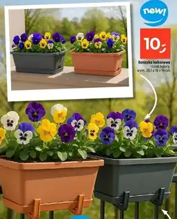 Dealz Doniczka balkonowa oferta