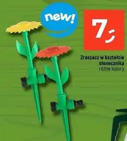 Dealz Zraszacz ogrodowy słonecznik oferta
