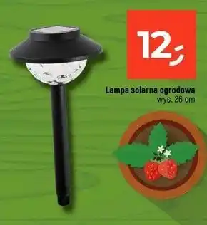 Dealz Lampa solarna 26 cm oferta
