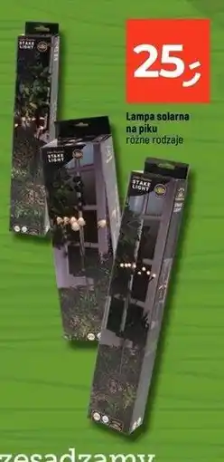 Dealz Lampa solarowa led na piku oferta