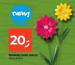 Dealz Kwiat solarny oferta