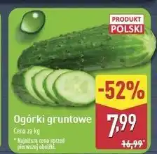 ALDI Ogórek gruntowy polska oferta