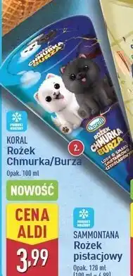 ALDI Lód burza Koral oferta