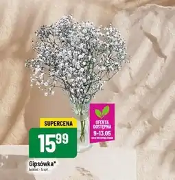 Polomarket Bukiet oferta