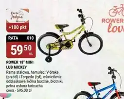 bi1 Rower XO oferta