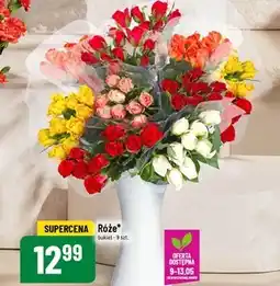 Polomarket Bukiet róż oferta
