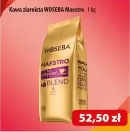 Astra Kawa ziarnista Woseba oferta