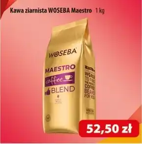 Astra Kawa ziarnista Woseba oferta