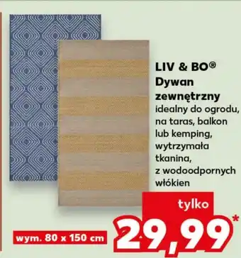 Kaufland Dywan zewnętrzny Liv & BO oferta