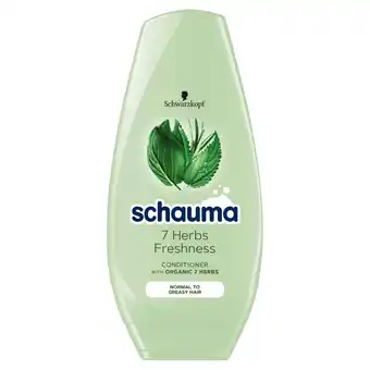 Topaz Schauma 7 Herbs Freshness Odżywka do włosów przetłuszczających się i normalnych 250 ml oferta