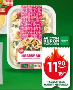 Żabka Tagliatelle Szamamm oferta