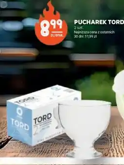 Stokrotka Pucharek Tord oferta