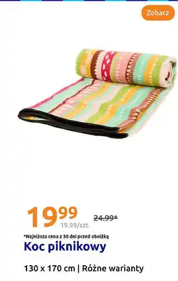 Action Koc piknikowy oferta