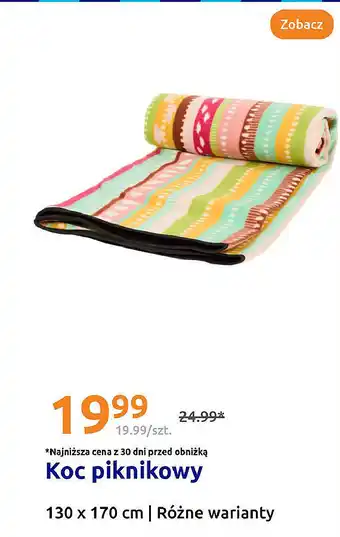 Action Koc piknikowy oferta