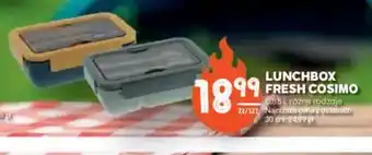 Stokrotka Lunchbox Fresh Cosimo oferta