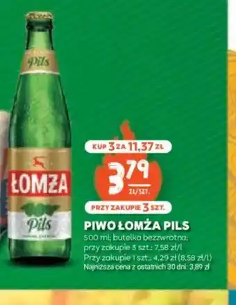 Stokrotka Piwo Lomża Pils oferta