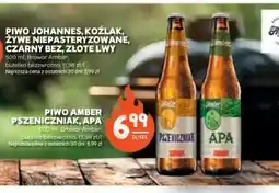 Stokrotka Piwo Amber oferta