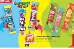 Stokrotka Lody sorbetowe Hortex oferta