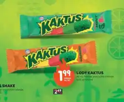 Stokrotka Lody Kaktus oferta