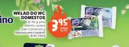 Stokrotka Wkład do WC Domestos oferta