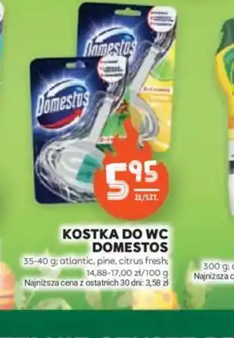 Stokrotka Kostka do WC Domestos oferta