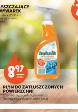 Stokrotka Płyn do zatłuszczonych powierzchni Ludwik oferta