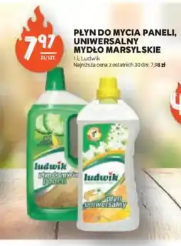 Stokrotka Płyn do mycia paneli Ludwik oferta