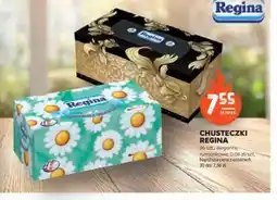 Stokrotka Chusteczki Regina oferta