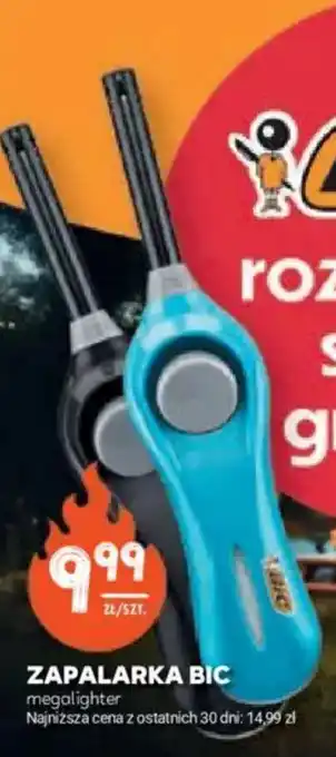 Stokrotka Zapalarka bic oferta