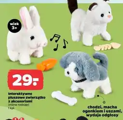 Netto Maskotka pluszak interaktywny oferta