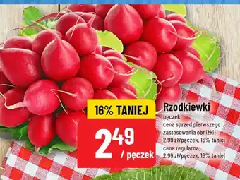 Polomarket Rzodkiewki pęczek POLOmarket oferta