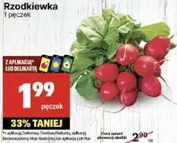 Delikatesy Centrum Rzodkiewka 1 pęczek Delikatesy Centrum oferta