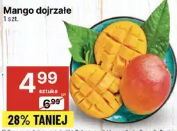 Delikatesy Centrum Mango dojrzałe 1 szt. Delikatesy Centrum oferta
