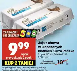 Delikatesy Centrum Jaja z chowu w ulepszonych klatkach Kurza Paczka 10 szt oferta