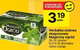 Delikatesy Centrum Herbatka ziołowa ekspresowa Magiczny Ogród mięta 20 torebek oferta