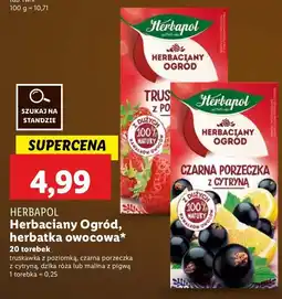 Lidl Herbata malina z pigwą Herbapol herbaciany ogród oferta