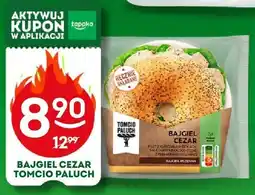 Żabka Bajgiel Cezar Tomcio Paluch oferta