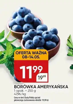 Chata Polska Borówka amerykańska 1 opak. 250 g Chata Polska oferta