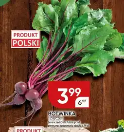 Chata Polska Botwinka 1 pęczek Chata Polska oferta